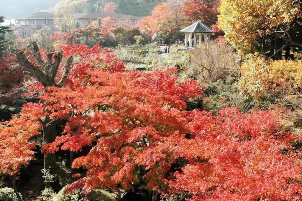 Forest Villa Hakone Eksteriør bilde