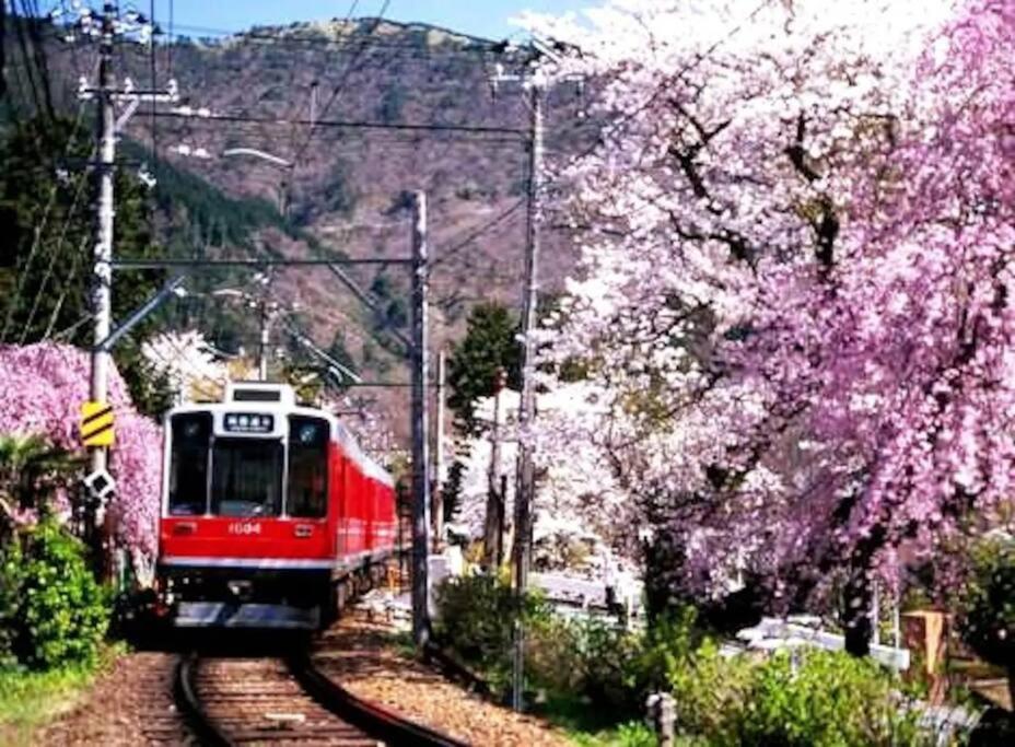 Forest Villa Hakone Eksteriør bilde